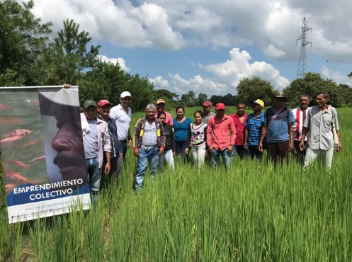 Emprendimientos colectivos de población vulnerable Personas en un campo siendo fotografidos
