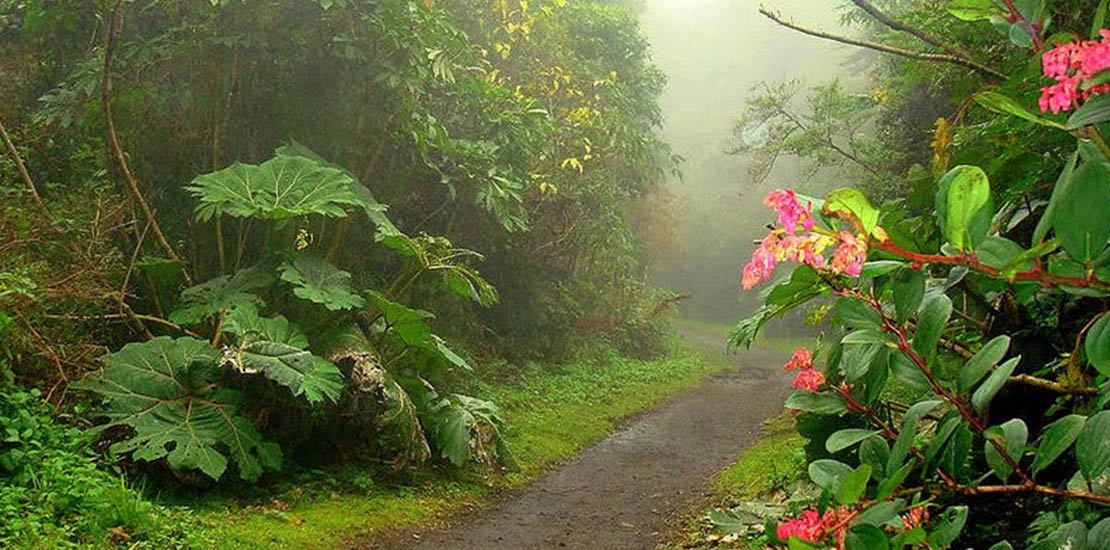 Costa Rica podría ser un modelo para el mundo Zonas verde de Costa Rica