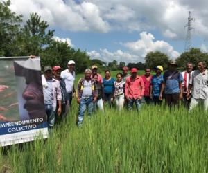 Emprendimientos colectivos de población vulnerable Personas en un campo siendo fotografidos