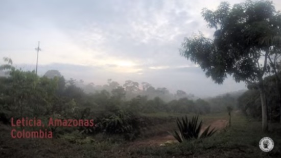 Amazonia colombiana: Un mosaico de sociedades y cultura Amazonia colombiana: Un mosaico de sociedades y cultura