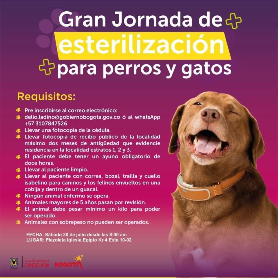 Jornada de esterilización
