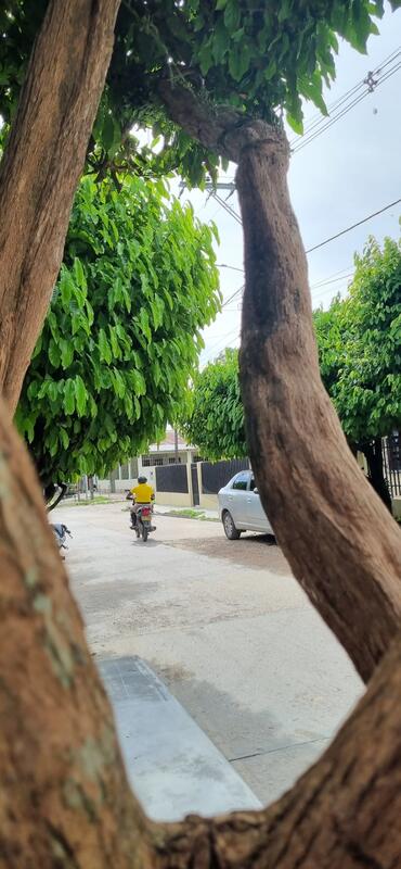 Barrios Barrios