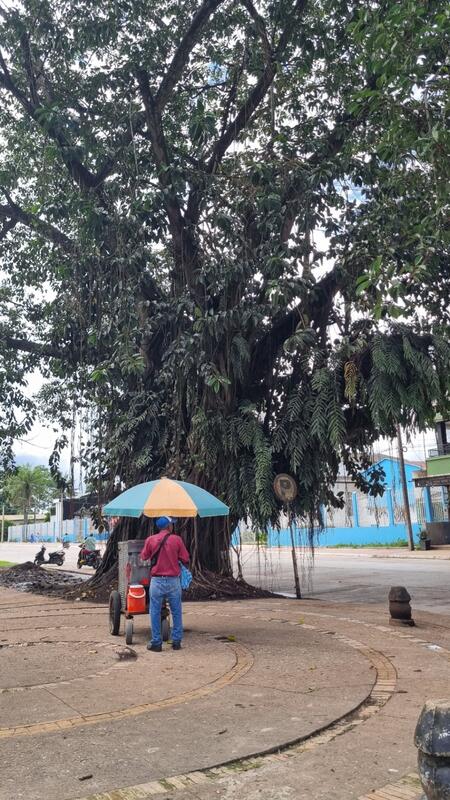 Parque Santander