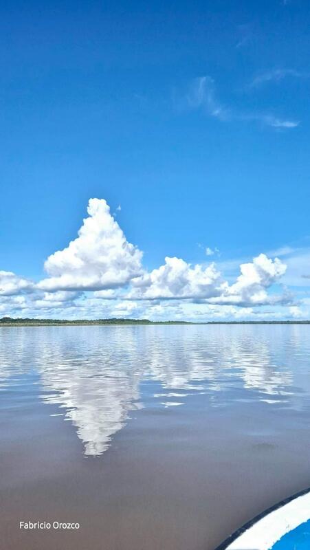 Amazonas azul Amazonas azul