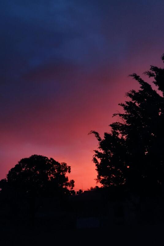 Desde algún lugar de Leticia Desde algún lugar de Leticia