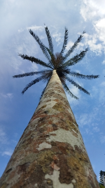 Takana Takana
