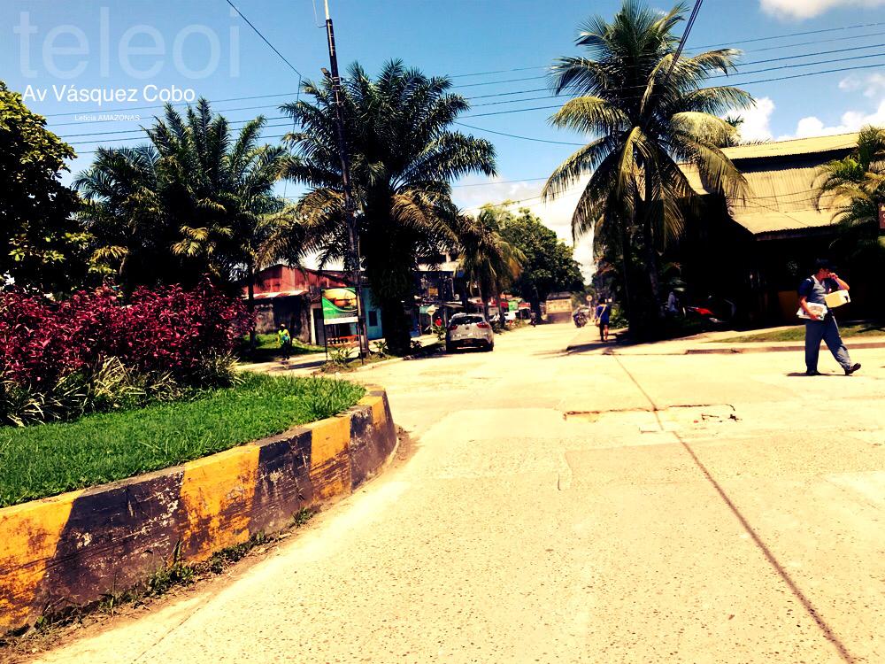 Avenida Vasquez Cobo Rotonda mirando en rereccion a la avenida Vasquez Cobo