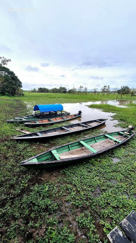 Selva inundada - Carlos Fabricio Orozco Córdoba 