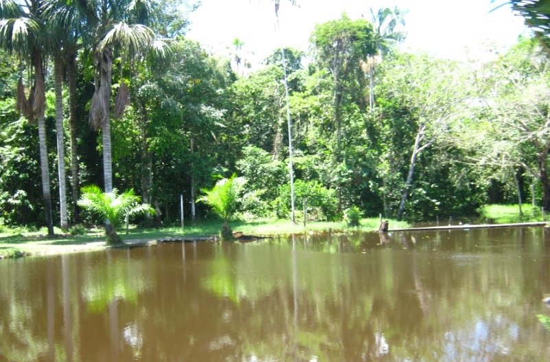 Paisajes en Amazonas 