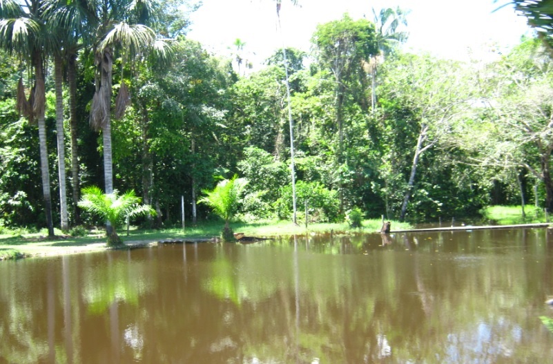 Logos en la carretera Paisajes en Amazonas