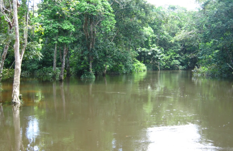 El lago de sus encantos 