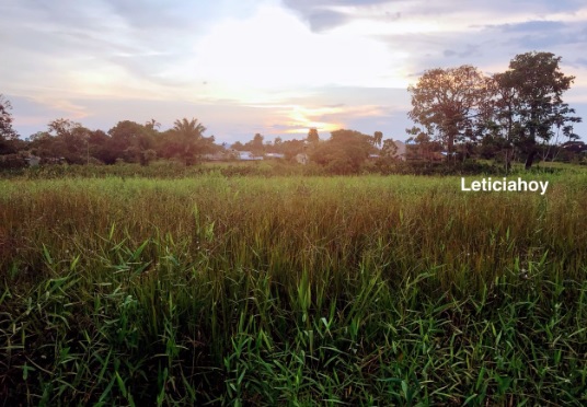 Paisajes por la ciudad Barrios de la ciudad de Leticia