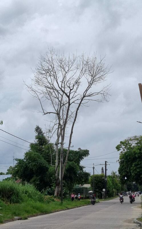 Calle 10 Calle 10