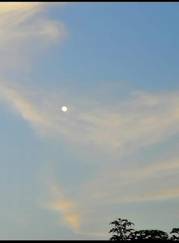 Tierra y Luna Tierra y Luna