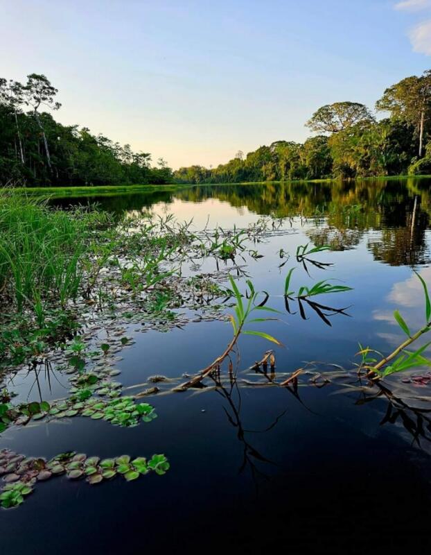 Amazonas / Carlos Fabricio Orozco Córdoba Amazonas / Carlos Fabricio Orozco Córdoba