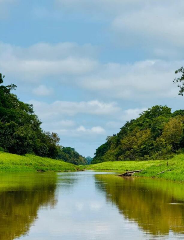 Río Amazonas Río Amazonas