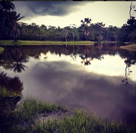 Cielo despejado en reserva natural