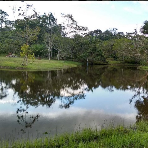 Paisajes antes que caiga la noche 