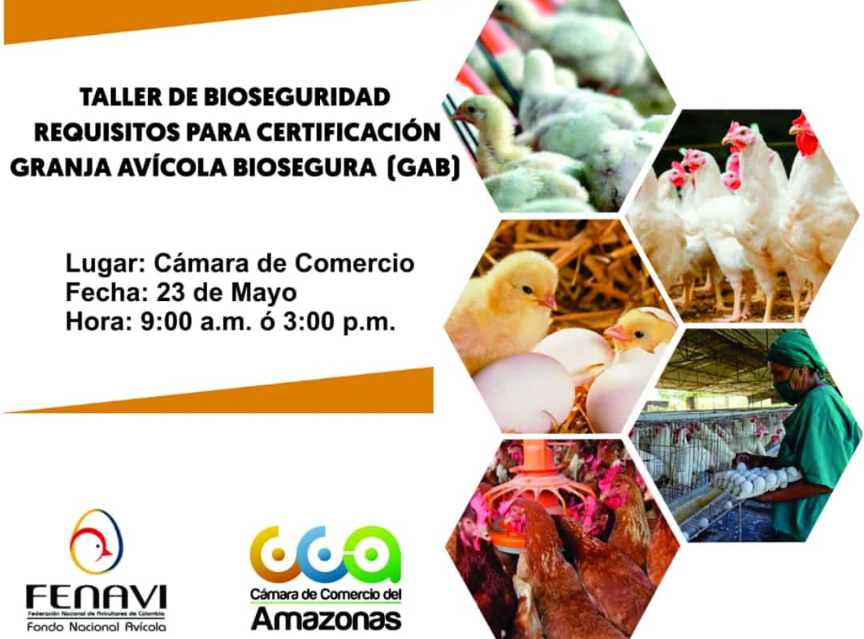 Taller de Bioseguridad image for Taller de Bioseguridad