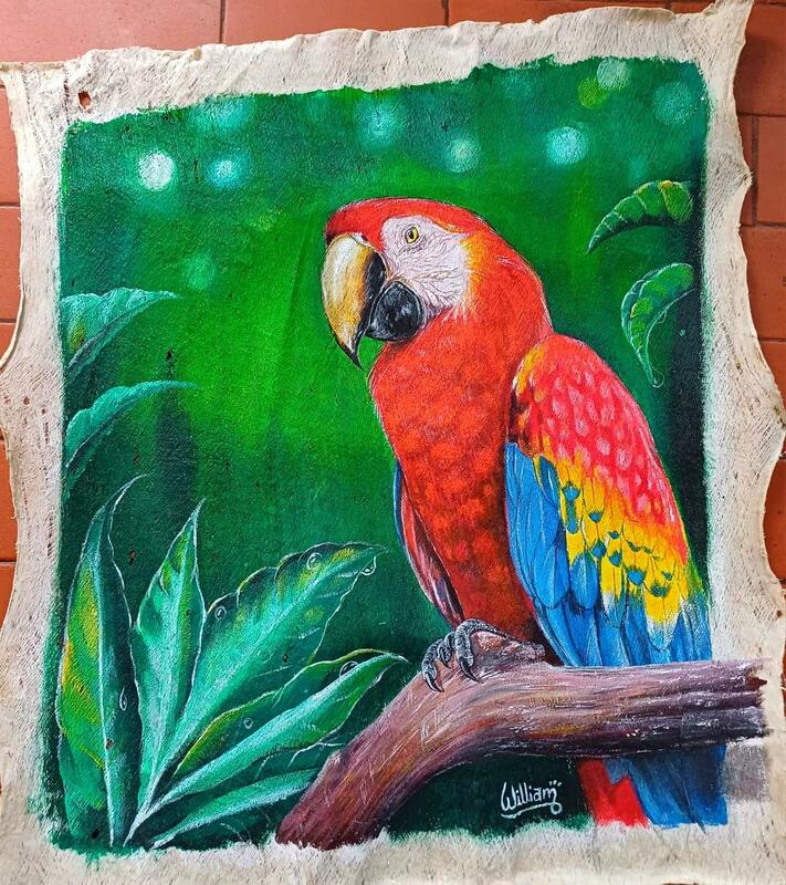 Obras coloridas Amazonicas Obras coloridas Amazonicas