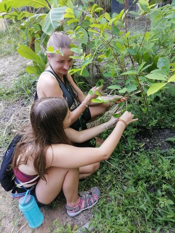 Amazonas