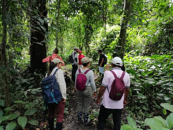 Amazonas