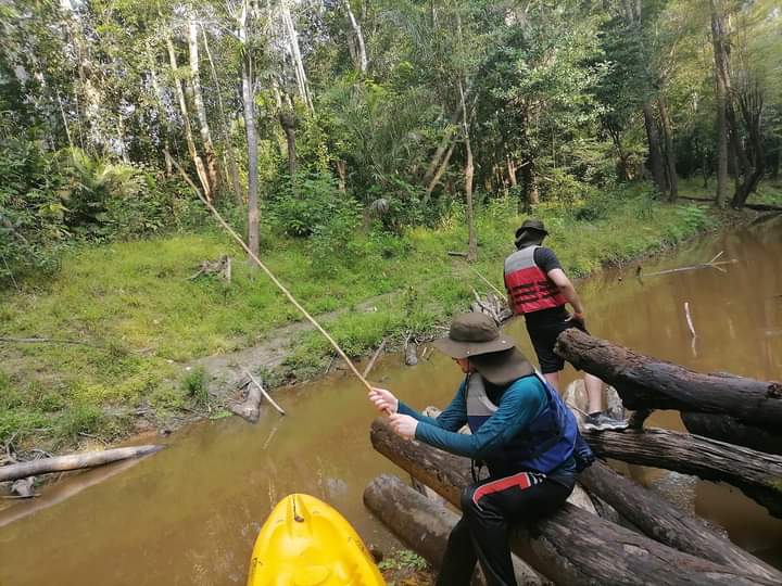 Amazonas