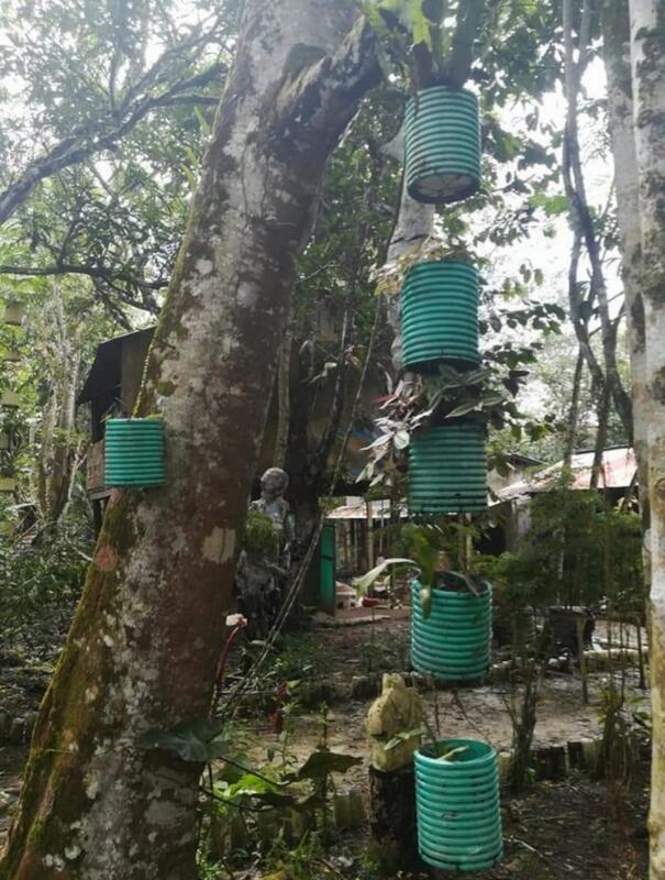 Reciclado Reciclado