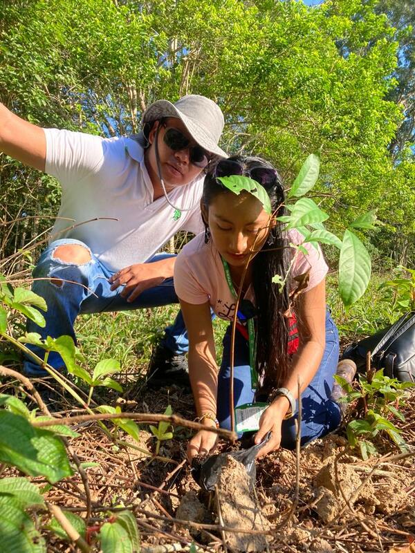 Conmemoración del Día Mundial del Medio Ambiente 