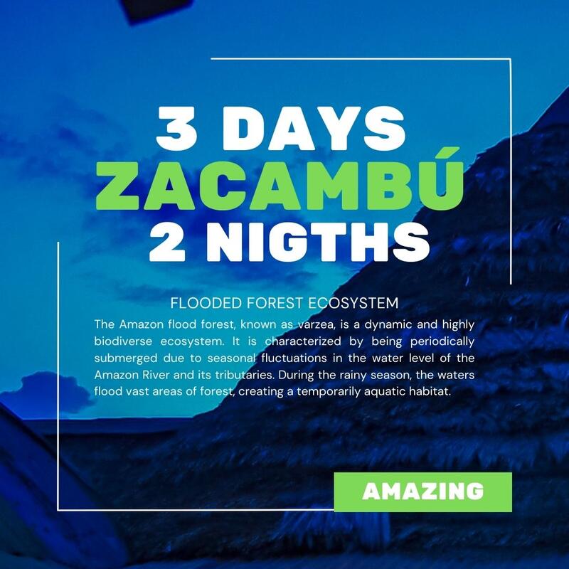 Zacambu Rainforest EcoLodge Zacambu Rainforest EcoLodge