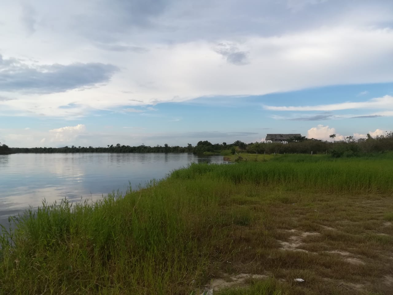 Orilla del rio Amazonas en Iquitos