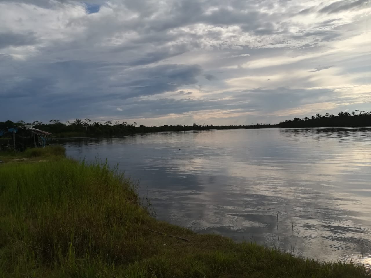 Paisajes a orillas del rio Amazonas