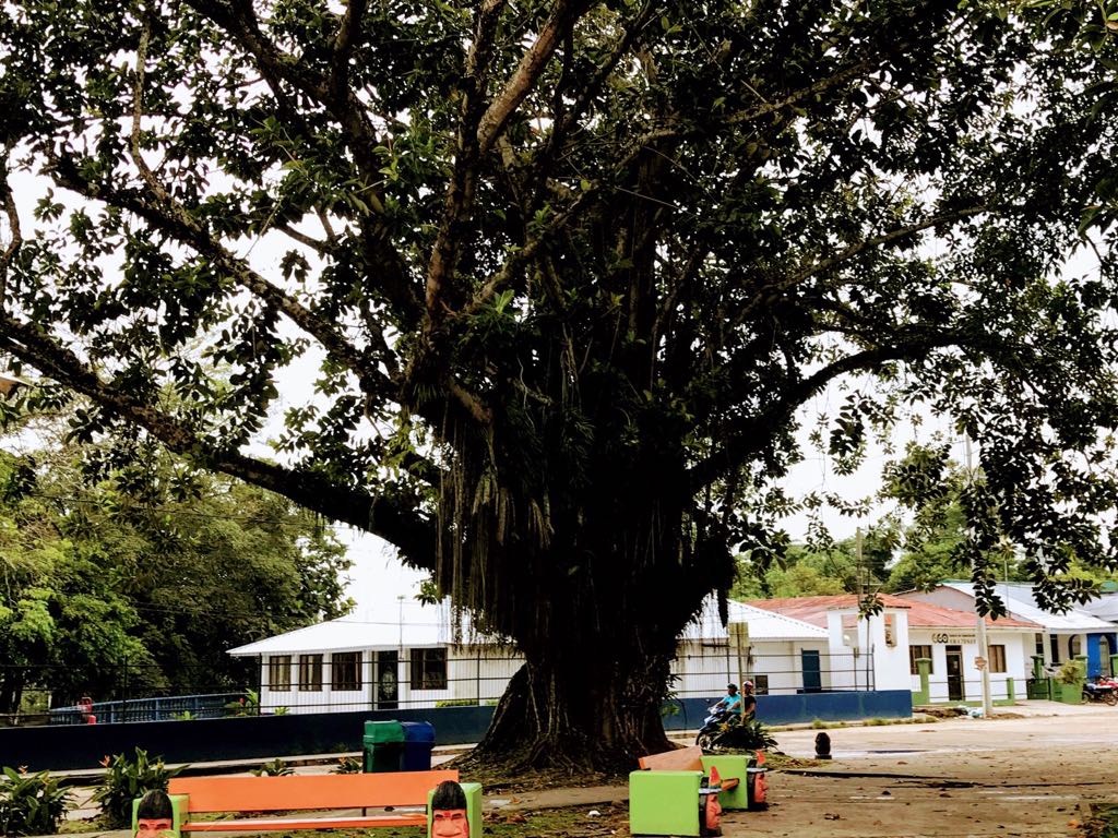 Parque Santander