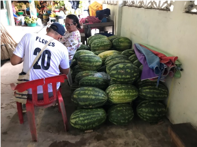 Melancia em Mercado Municipal Tabatinga