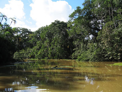 Lago Yaguarcaca Foto: Lago Yaguarcaca
