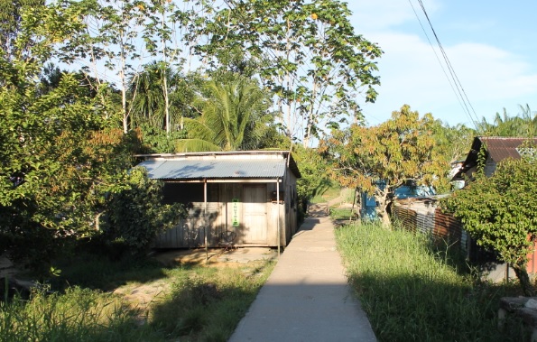 La Sarita Foto: Barrio La Sarita y sus calles