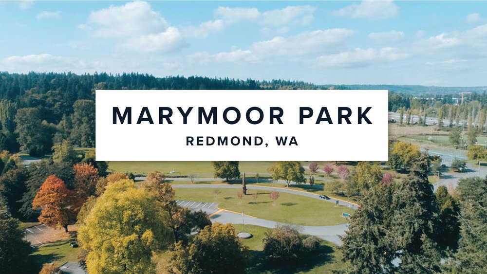 image for Marymoor Park
