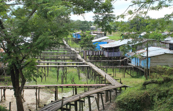 Victoria Regia Barrio Victoria Regia