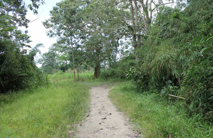 Isla de la Fantasía Isla de la Fantasia por caminos