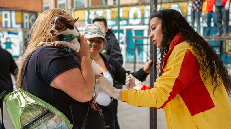 Segundo festival Usme Protectora de la Vida Anima