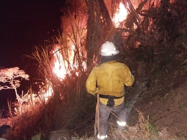Incendios causaron estragos en seis municipios de Caldas 