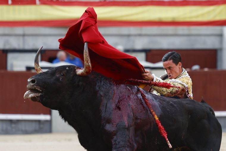 image for Colombia prohíbe las corridas de toros
