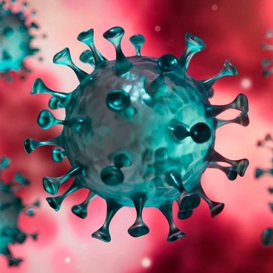 Coronavirus | Conozca un poco más sobre este virus image for Coronavirus | Conozca un poco más sobre este virus