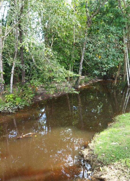 image for Poca afluencia de turistas en el Amazonas