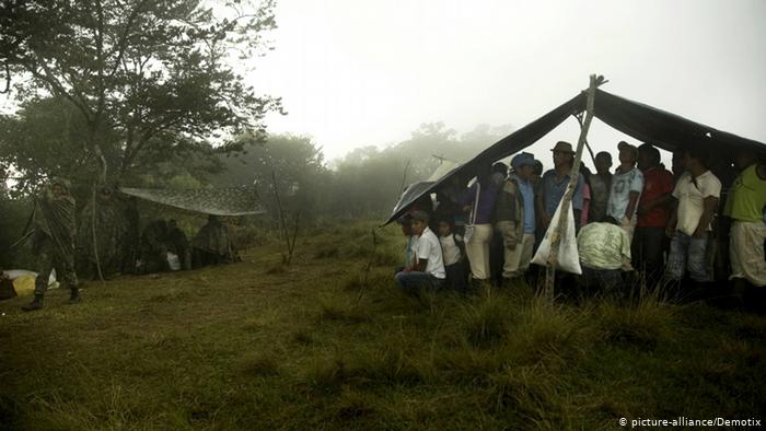 image for Casos de coronavirus en tribus indigenas se multiplican