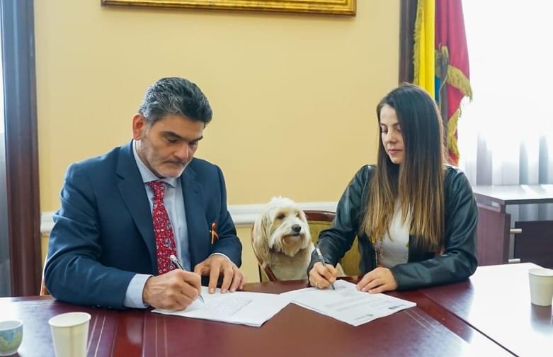image for Proyectos que garantiza programas de adopción de caninos y felinos 