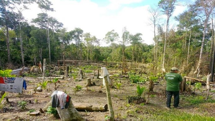 Areas de poca vegetacion