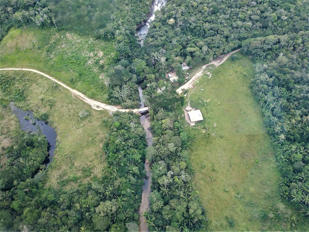Colombia recibe 28 millones de dólares para proteger los bosques image for Colombia recibe 28 millones de dólares para proteger los bosques