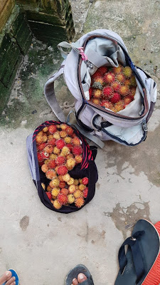 Garoto é morto quando colhia frutos em um sitio image for Garoto é morto quando colhia frutos em um sitio