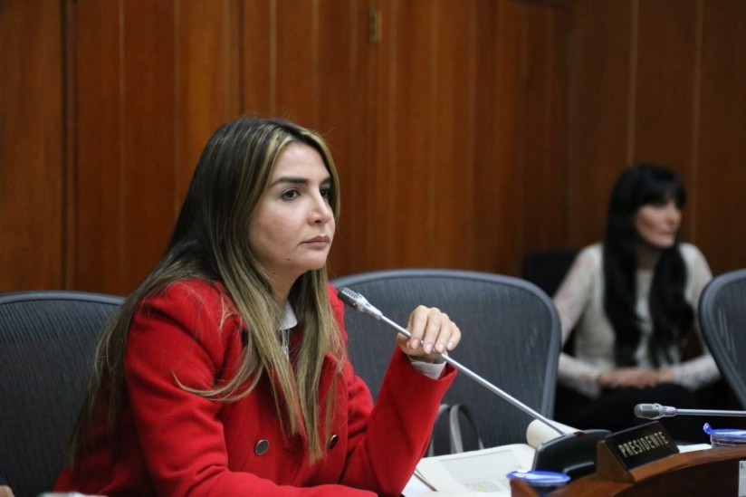 Senadora que impulso proyecto que prohibió el uso de asbesto image for Senadora que impulso proyecto que prohibió el uso de asbesto